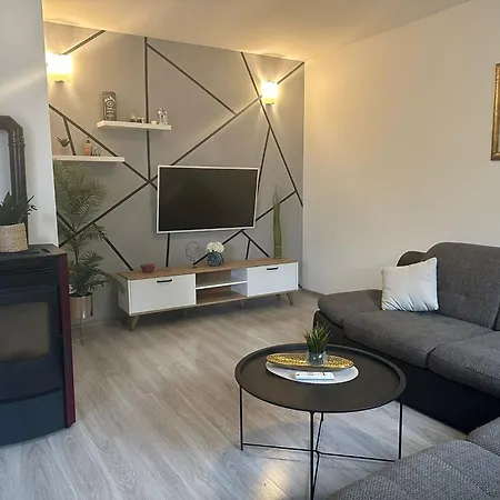 Apartment Skender *